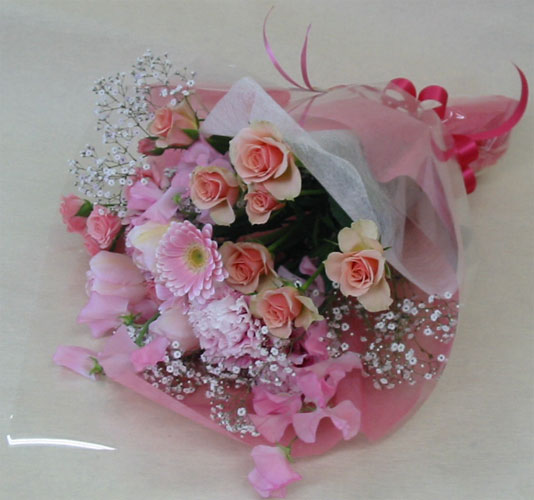 ����ԁ@���ԉԑ�/���}���e�B�b�N�J���[�ԑ��l